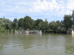 SX24071 Biesbosch visitor centre from island.jpg